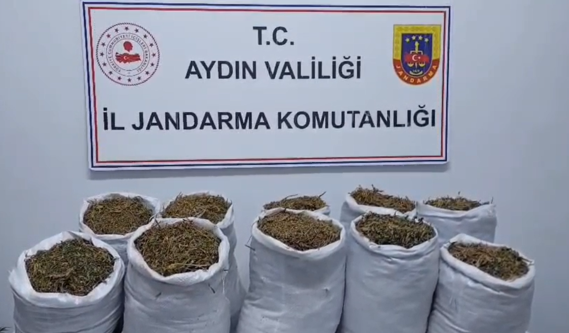 Kuşadası’nda bir ev uyuşturucu çıktı
