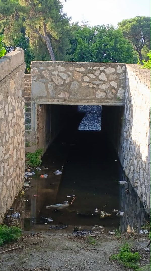 Sultanhisar’da alt geçitte korku dolu anlar: Yaşlı kadın ağır yaralandı!
