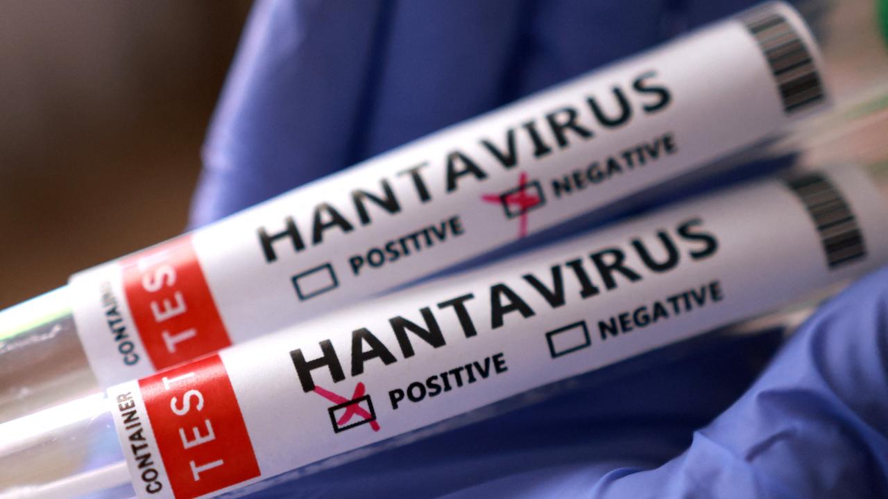 Sağlık Bakanlığı uyardı: Türkiye'de hantavirüs var mı? 4 Sağlık Bakanlığı uyardı: Türkiye’de hantavirüs var mı?
