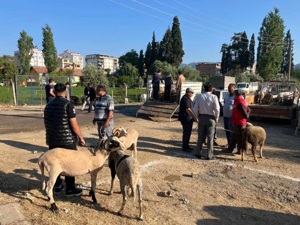 İncirliova Kurban pazarı kuruldu 5 WhatsApp Image 2026 05 22 at 08.18.19
