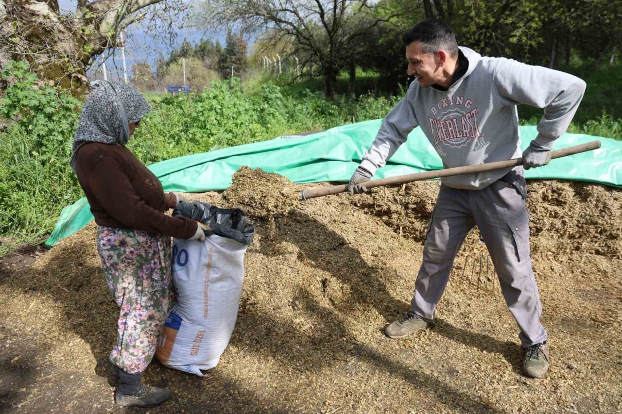 aydinda bahar bereketi yagislar hayvancilik sektorune yaradi 48101b0137db