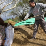 aydinda bahar bereketi yagislar hayvancilik sektorune yaradi 5c1b07506066