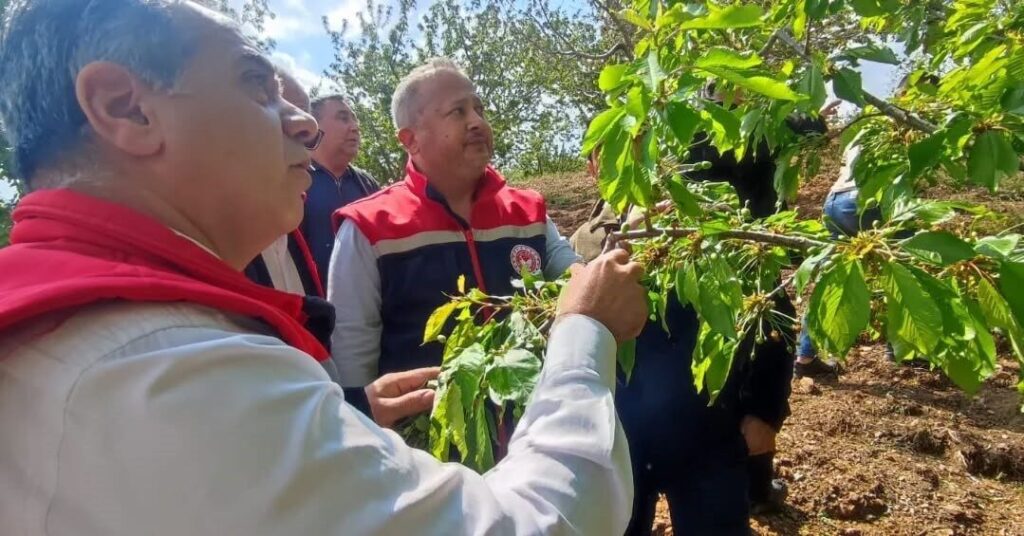 Aydın’ı dolu vurdu, tarım arazileri zarar gördü 5 aydinda dolu vurdu zarar goren tarim arazileri yerinde incelendi d9b479290eb1