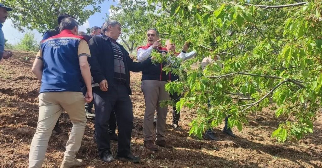 Aydın’ı dolu vurdu, tarım arazileri zarar gördü 4 aydinda dolu vurdu zarar goren tarim arazileri yerinde incelendi e09ff81a1670