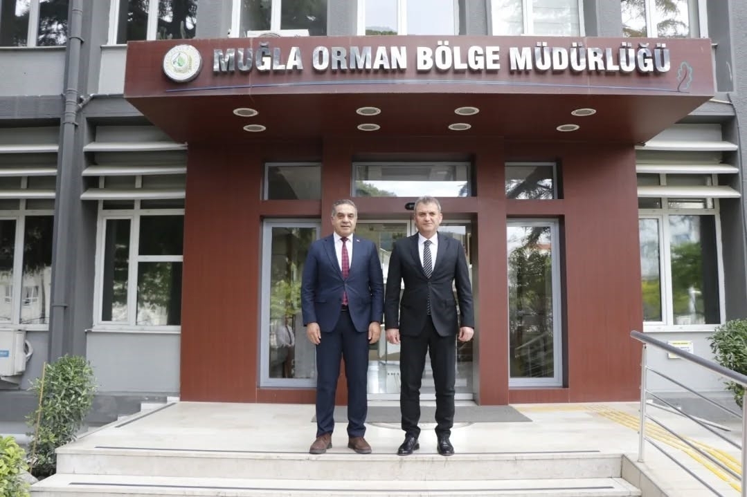 Aydın’da kestane ağaçları biyolojik mücadele ile korunuyor 1 aydinda kestane agaclari biyolojik mucadele ile korunuyor ed0e913b3dff