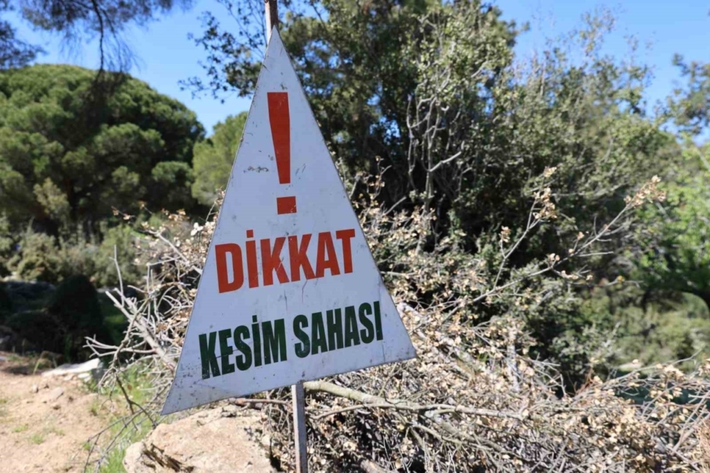 aydinda koyluler tapularinin yerlerinin degistirildigi gerekcesi ile hukuk mucadelesi baslatti d9bce54d85af