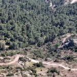 aydinda koyluler tapularinin yerlerinin degistirildigi gerekcesi ile hukuk mucadelesi baslatti f83eb5b8374d