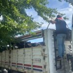 Aydın’da kurbanlık nakil yol kontrolleri yapıldı 2 aydinda kurbanlik nakil yol kontrolleri yapildi 4d1e4db0c638