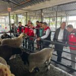 aydinda kurbanlik satis noktalarinda kontrol yapildi c8c36b4ea4fb
