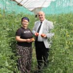 baskan kaya ciftciler gununde domates hasadina katildi 25addfdd22d1