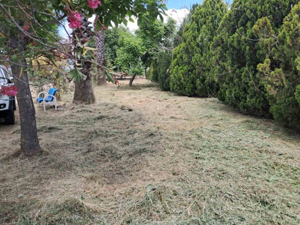 Başkan Yıldırımkaya, şehitliği kirletenlere tepki gösterdi 3 baskan yildirimkaya sehitligi kirletenlere tepki gosterdi 1b7f5e6d460f