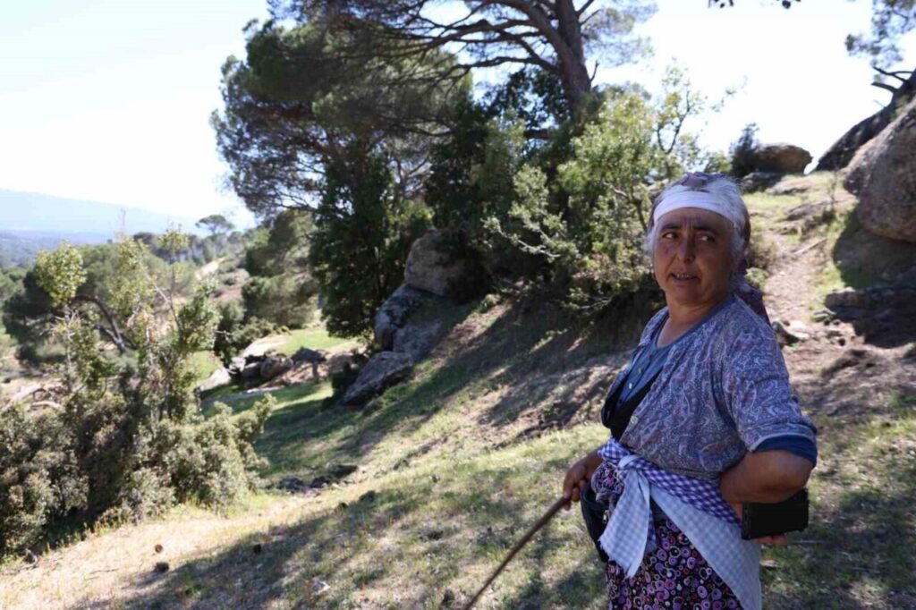 besparmak daglarinda cobanligi terk etmeyen sadece rukiye baci kaldi cc943baaed07