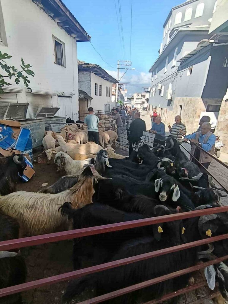 bozdogan yazikentte kurban pazari hareketlendi 75adf1193e95
