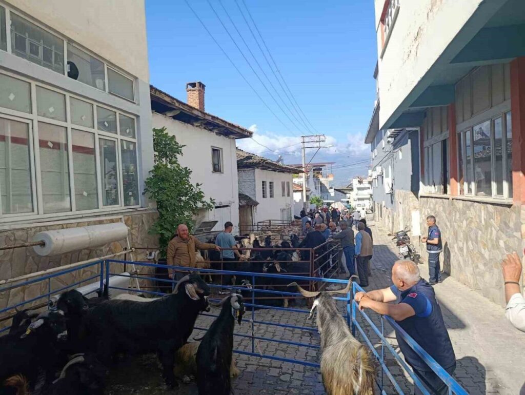 bozdogan yazikentte kurban pazari hareketlendi b1e111950497