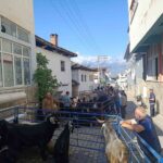 bozdogan yazikentte kurban pazari hareketlendi b1e111950497