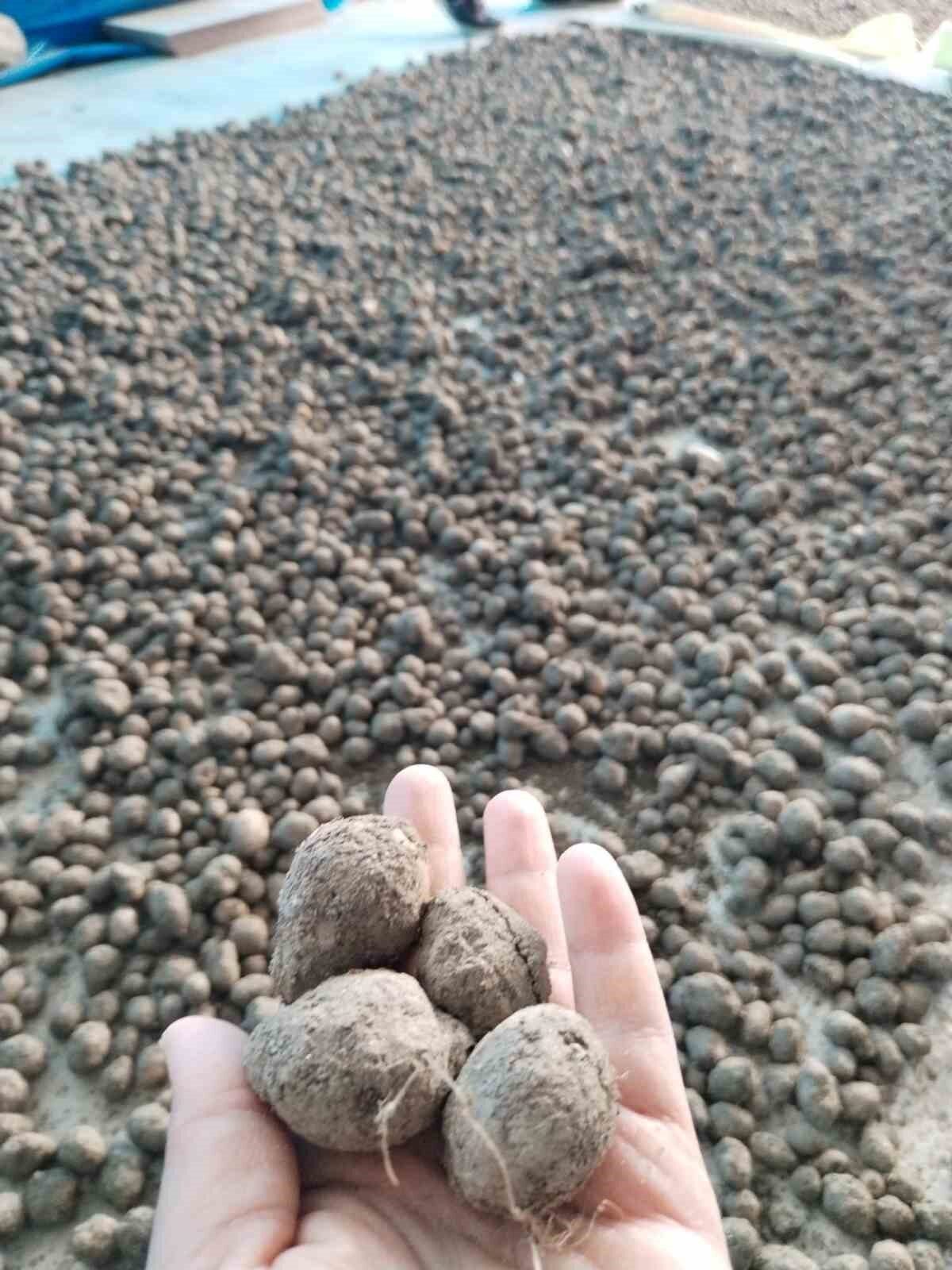 bozdoganda salep hasadi kontrol altinda d56b493297c9