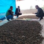 bozdoganda salep hasadi kontrol altinda d655ff6204f5