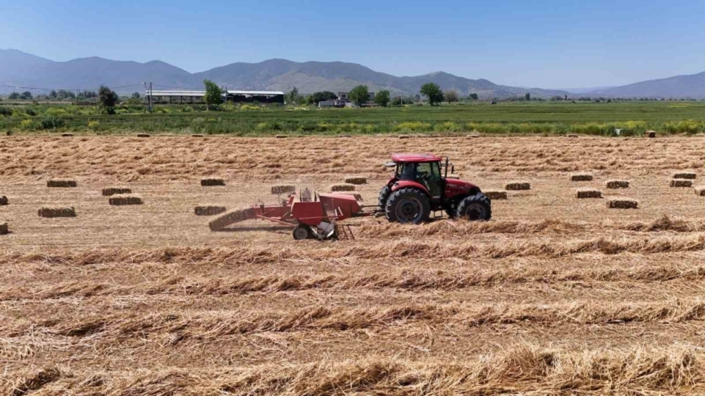 cine ovasinda balya mesaisi basladi 7e99e7619d1d