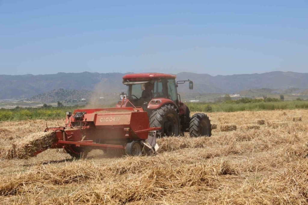 cine ovasinda balya mesaisi basladi 9d72aaebf12a