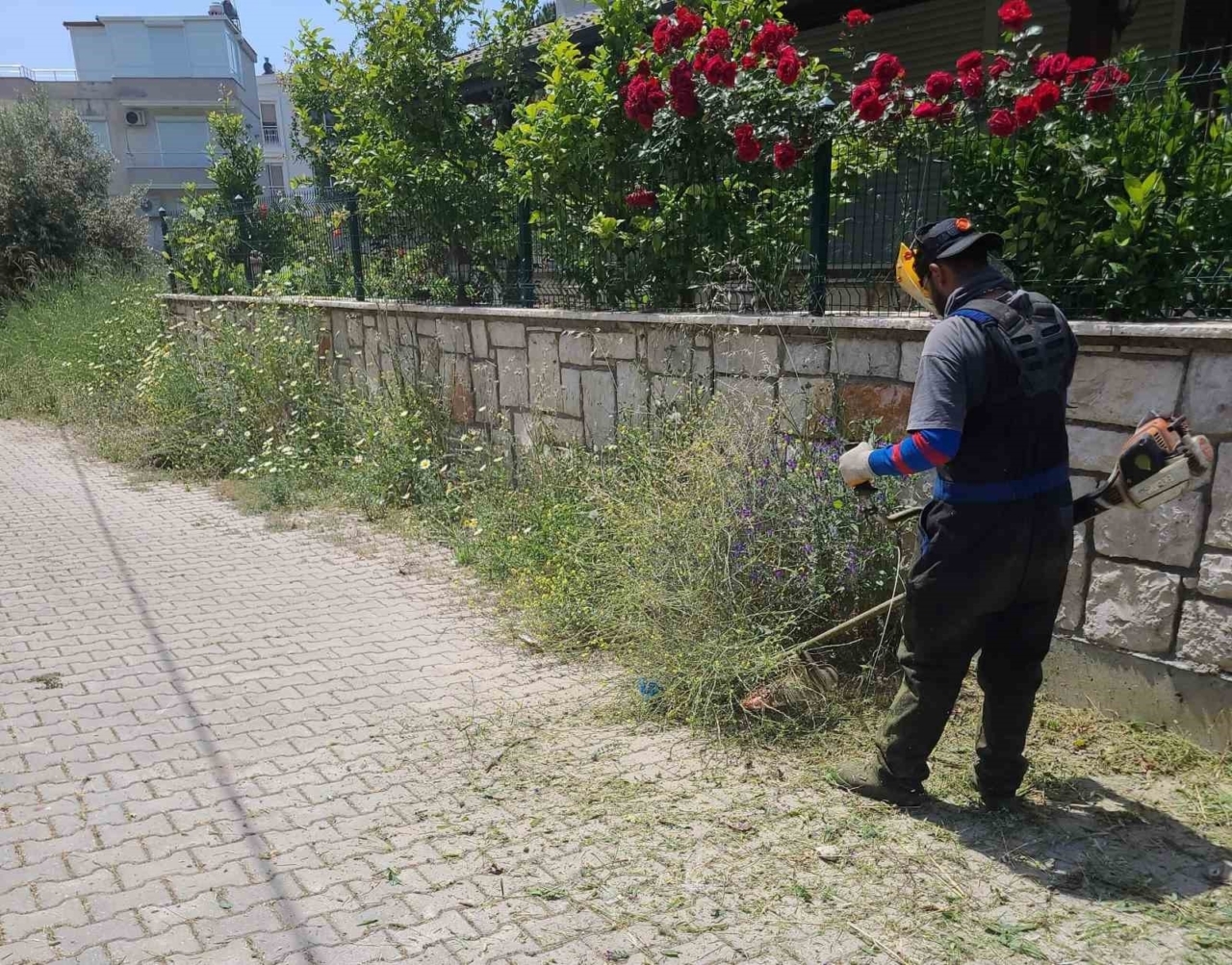 didim belediyesi ekipleri ilce genelinde calismalarini surduruyor dc2830c01992