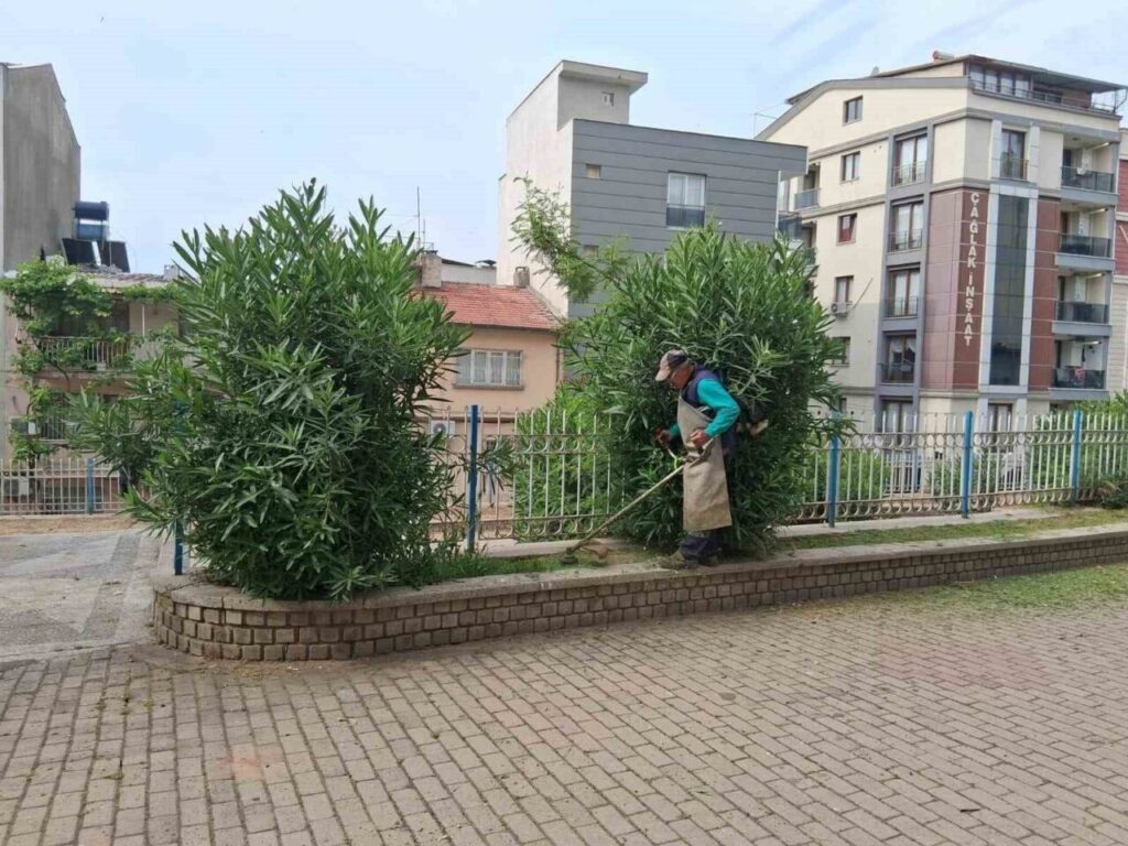 Efeler’de parklar yaza hazırlanıyor 3 efelerde parklar yaza hazirlaniyor 14b781c28df7