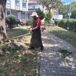 efelerde parklar yaza hazirlaniyor 4f614a6bdd38
