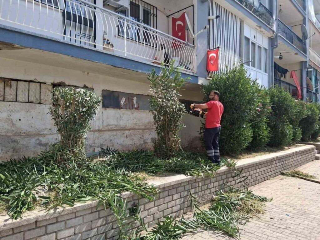 Efeler’de parklar yaza hazırlanıyor 4 efelerde parklar yaza hazirlaniyor 5f36506a2b8f