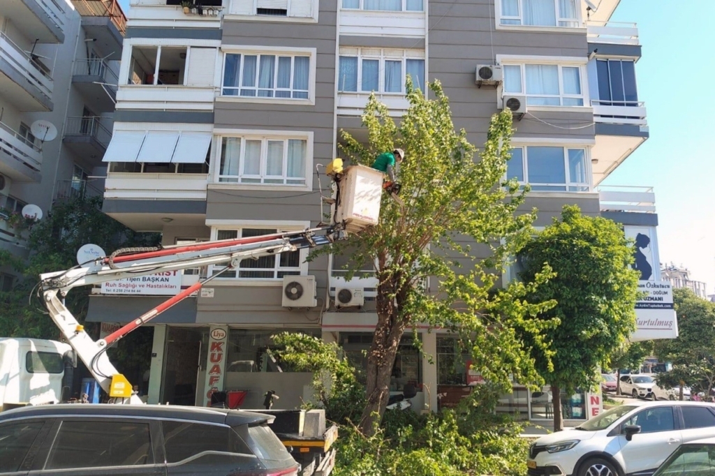 efelerde yesil alanlarda calismalar suruyor 1c6479be04d1