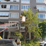 Efeler’de yeşil alanlarda çalışmalar sürüyor