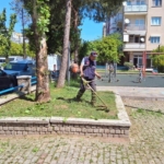 Efeler’de yeşil alanlarda çalışmalar sürüyor