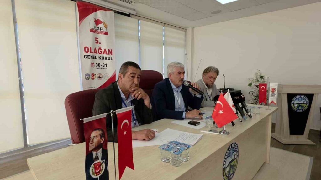 egfde kaytan guven tazeledi c1a4d97186c7