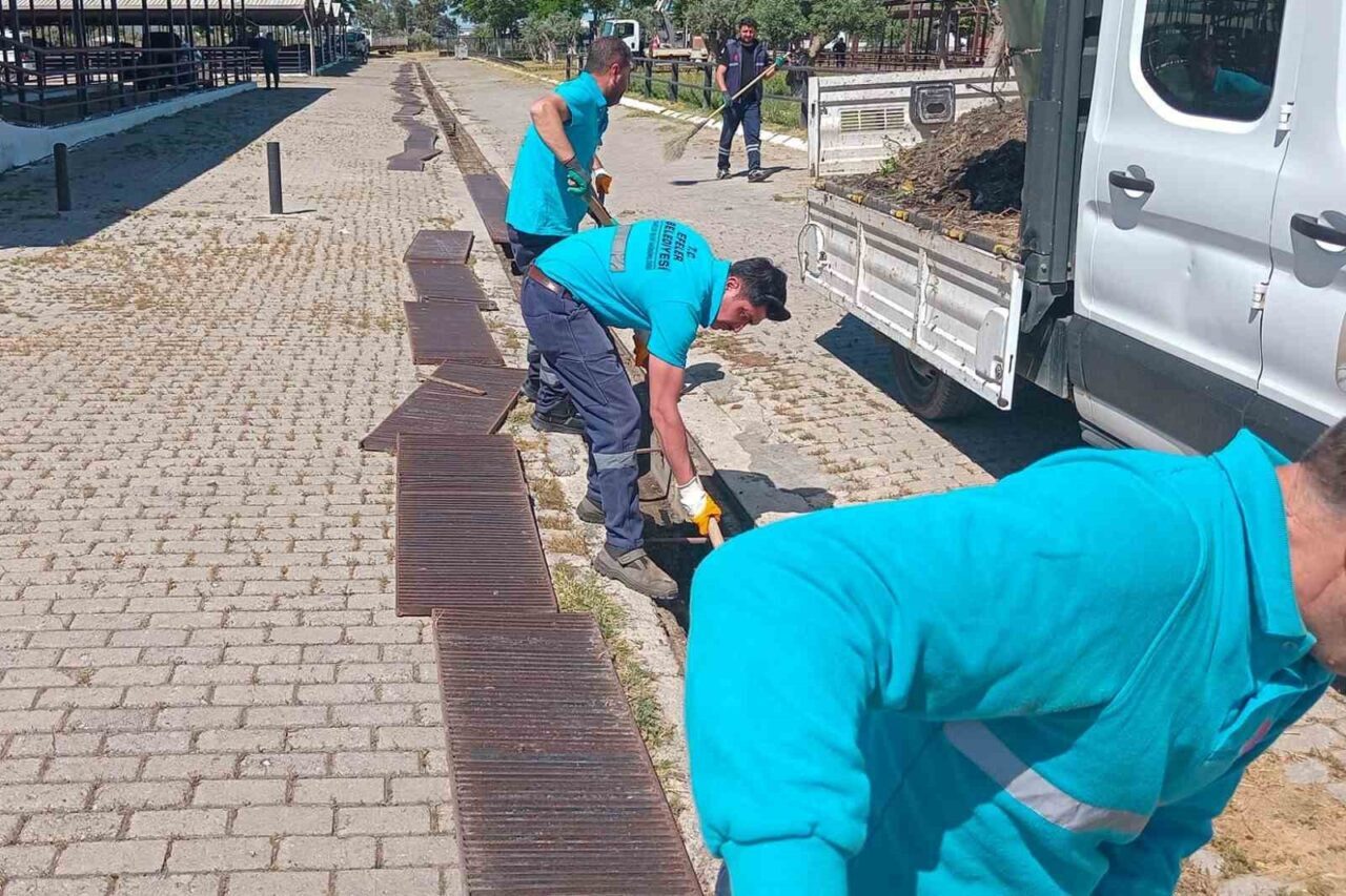 Hayvan pazarında bayram mesaisi başladı 8 hayvan pazarinda bayram mesaisi basladi ade5c425a30c