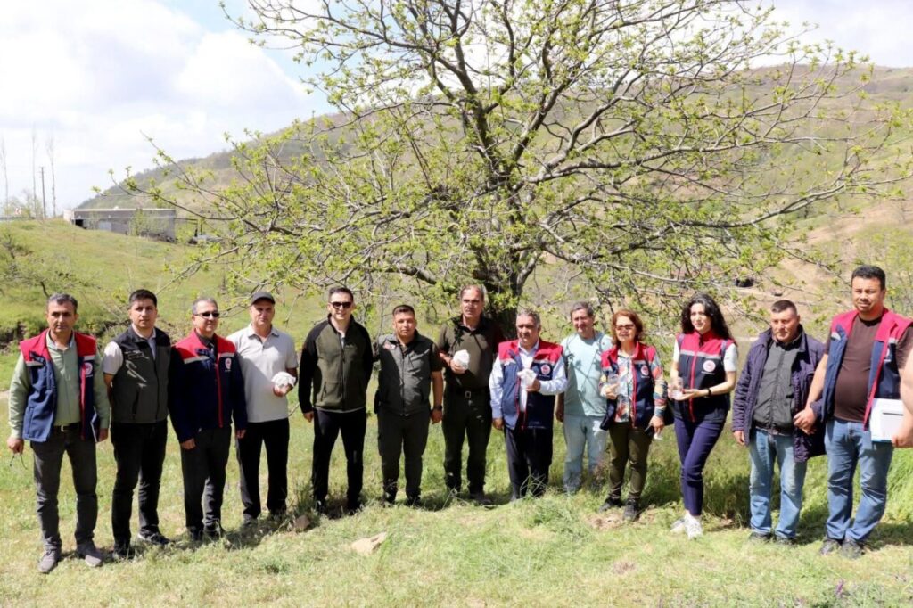 kestane zararlisina karsi 2 bin 700 parazitoit bocek dogaya salindi 6585cb5a657b