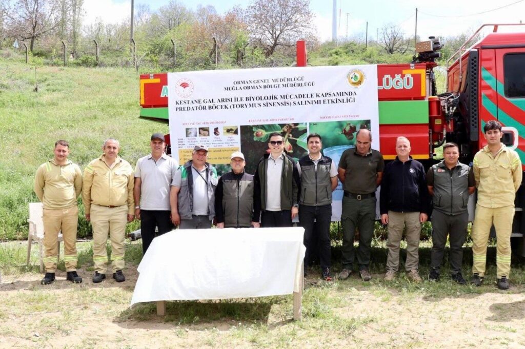 kestane zararlisina karsi 2 bin 700 parazitoit bocek dogaya salindi cb7dd5cc6a81