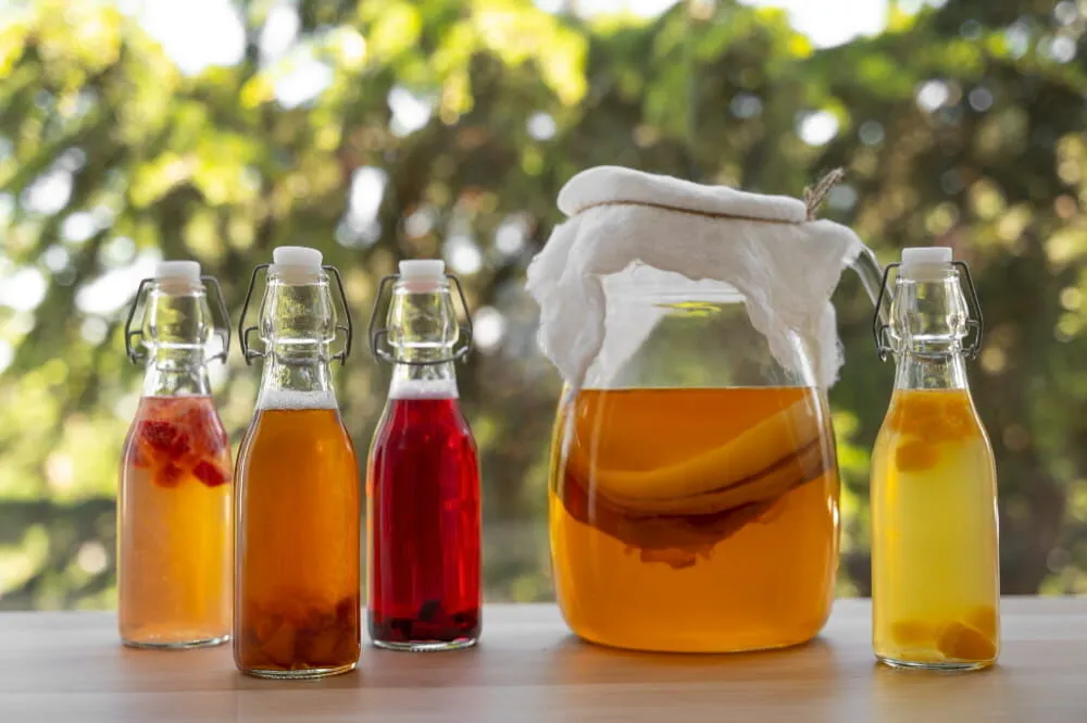 kombucha cayi