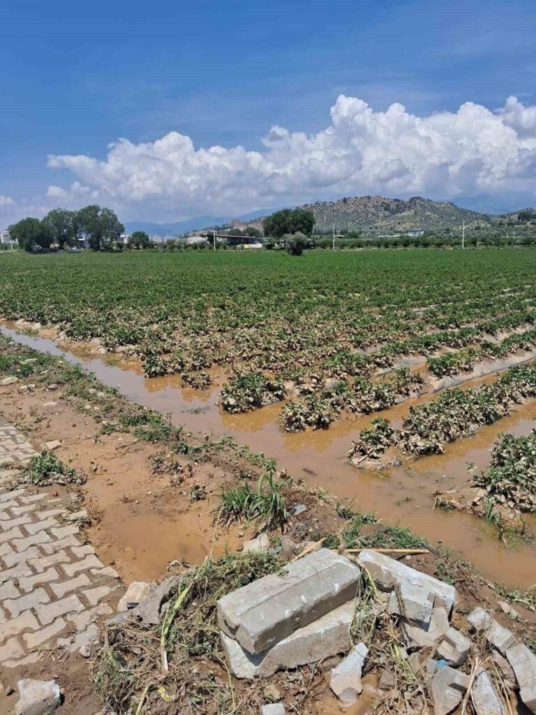 Köşk’te sel sonrası arazilerde hasar tespiti başlatıldı 6 koskte sel sonrasi arazilerde hasar tespiti baslatildi 2900de1beb8f