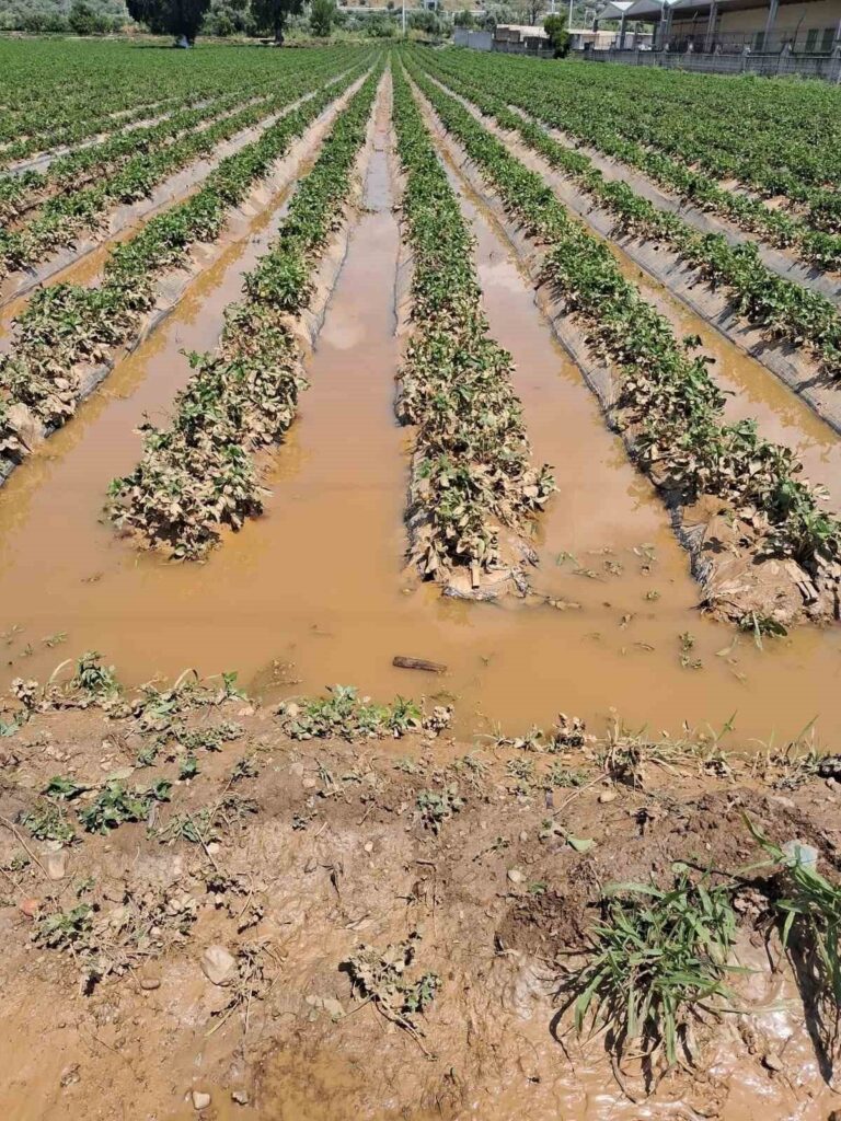 Köşk’te sel sonrası arazilerde hasar tespiti başlatıldı 3 koskte sel sonrasi arazilerde hasar tespiti baslatildi 3b5c8bd5a880