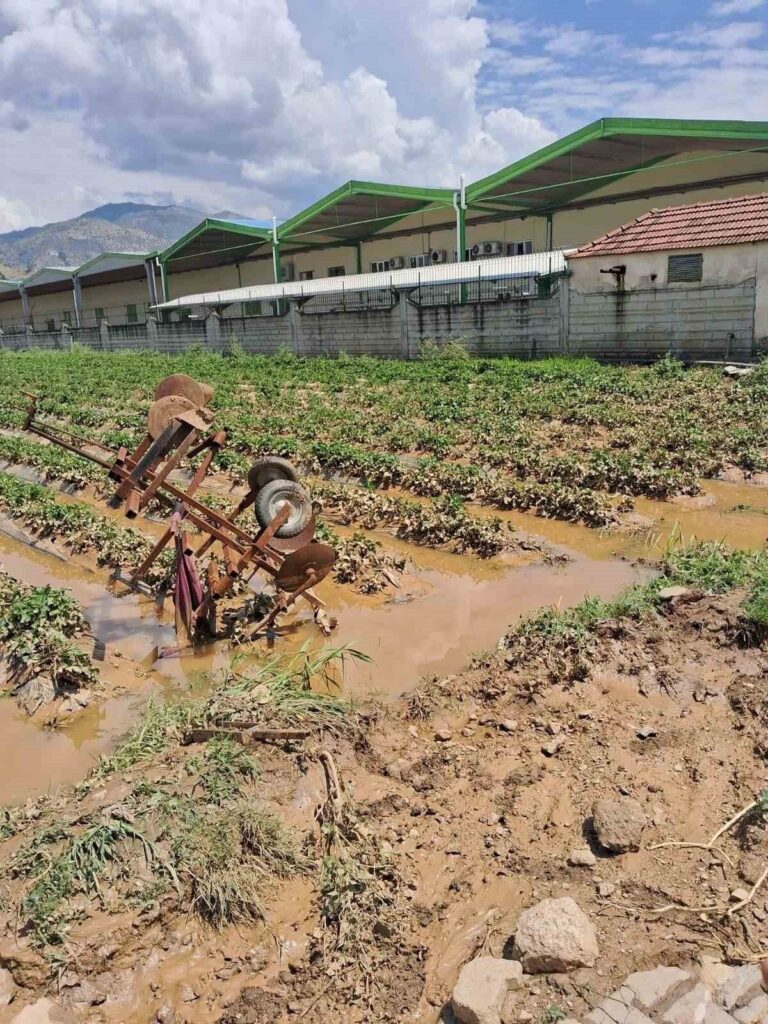 Köşk’te sel sonrası arazilerde hasar tespiti başlatıldı 5 koskte sel sonrasi arazilerde hasar tespiti baslatildi 47b61a3f05bf
