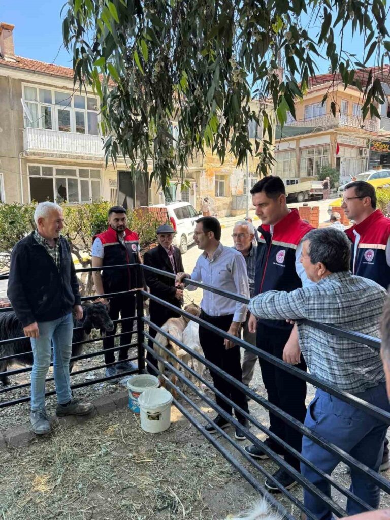 kurban bayrami oncesi bozdogan hayvan pazarinda siki denetim 170b3218ecdb