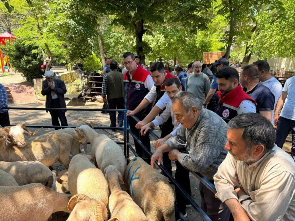 kurban bayrami oncesi bozdogan hayvan pazarinda siki denetim 23f505ec64ee