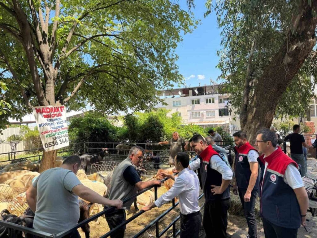 kurban bayrami oncesi bozdogan hayvan pazarinda siki denetim 643814d97967