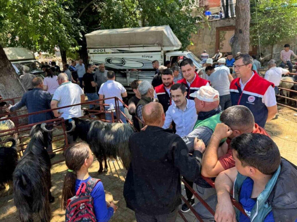 kurban bayrami oncesi bozdogan hayvan pazarinda siki denetim e6019eed04b9