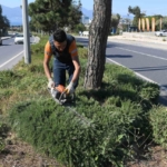 Kuşadası’nda bayram öncesi refüjler bakıma alındı