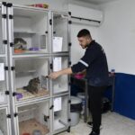 kusadasinda sokak hayvanlarina ucretsiz sifa eli 7e4849cebce0