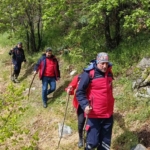 Nazilli Belediyesi NAFAD ekipleri kayıp vatandaş için seferber oldu