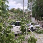 Rüzgarda devrilen ağaç park halindeki araçlara zarar verdi 4 ruzgarda devrilen agac park halindeki araclara zarar verdi 38c3f07915d5