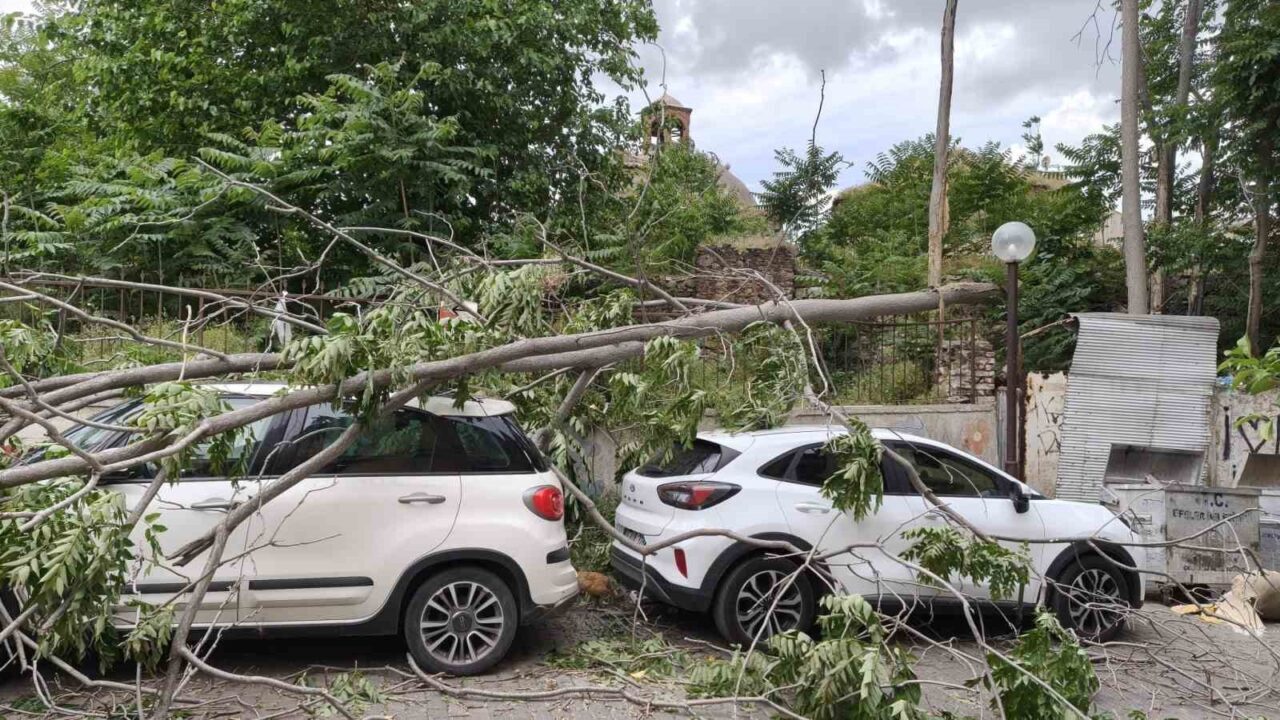 ruzgarda devrilen agac park halindeki araclara zarar verdi 727c98b4d40a