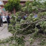 Rüzgarda devrilen ağaç park halindeki araçlara zarar verdi 2 ruzgarda devrilen agac park halindeki araclara zarar verdi 93f1b13c8ec1