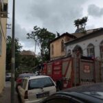 Rüzgarda devrilen ağaç park halindeki araçlara zarar verdi 7 ruzgarda devrilen agac park halindeki araclara zarar verdi d8b89229fb13