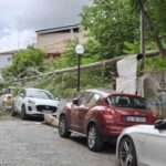 Rüzgarda devrilen ağaç park halindeki araçlara zarar verdi 5 ruzgarda devrilen agac park halindeki araclara zarar verdi e1574f908ed7